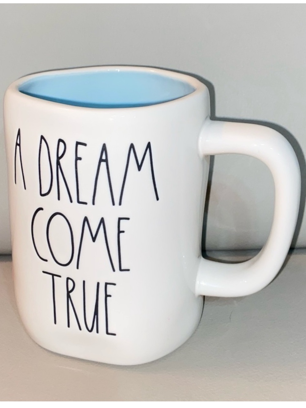 Rae Dunn A DREAM COME TRUE Disney Princess Mug Disney Castle Coffe Mug